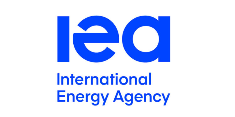 Agencia Internacional de Energía anuncia base de datos de Gasto Energético de los Hogares