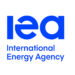 Agencia Internacional de Energía anuncia base de datos de Gasto Energético de los Hogares