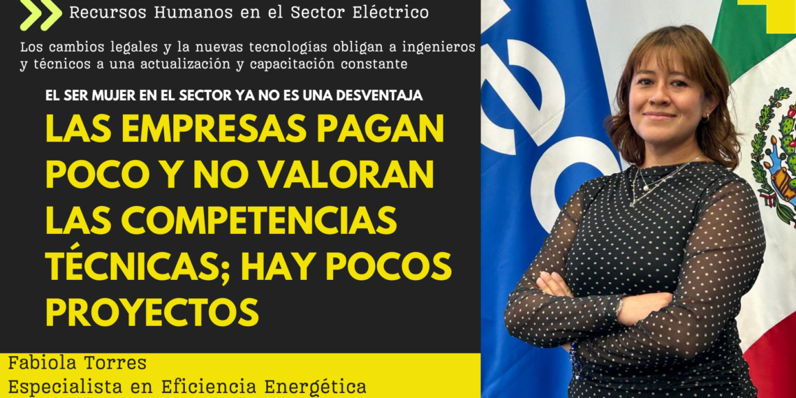 Sector eléctrico: un sector que necesita actualización y alta capacidad técnica, pero que paga poco