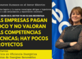 Sector eléctrico: un sector que necesita actualización y alta capacidad técnica, pero que paga poco